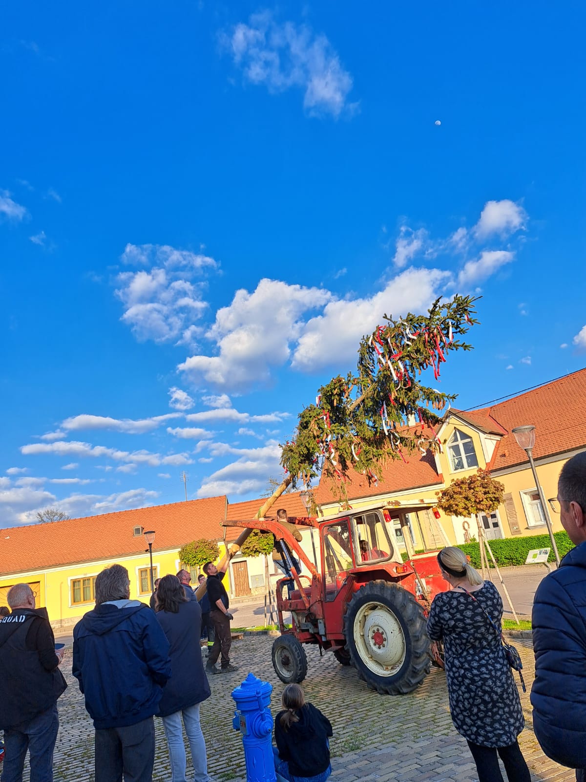 FF-Auggenthal Maibaum_30.04.2023_3