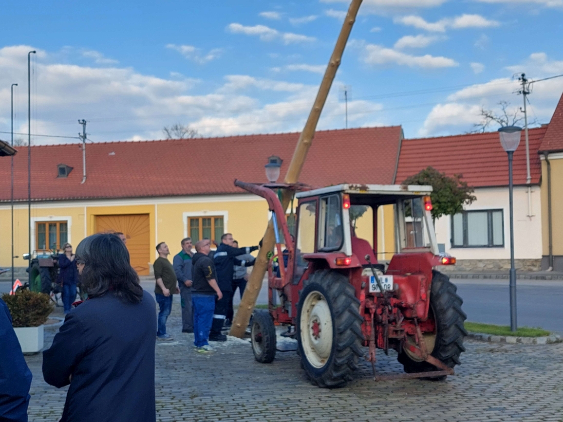 FF-Auggenthal Maibaum_30.04.2023_4