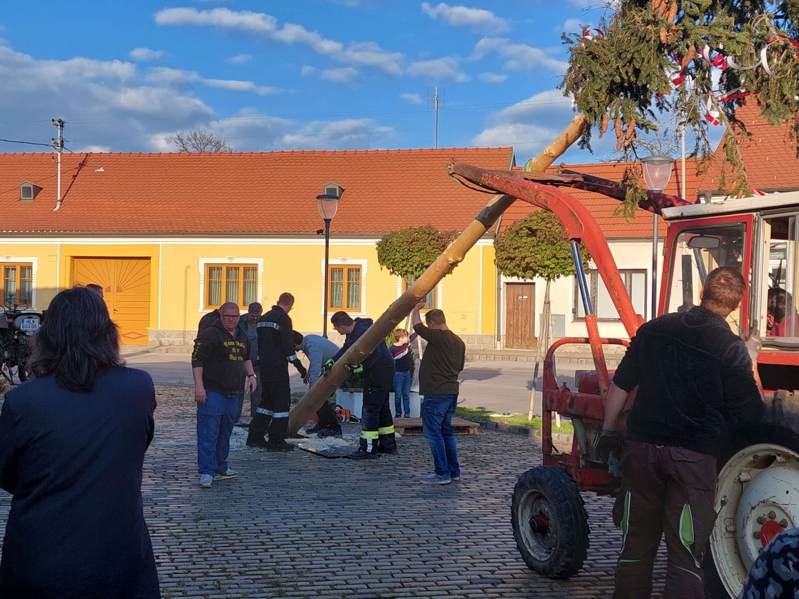 FF-Auggenthal Maibaum_30.04.2023_2