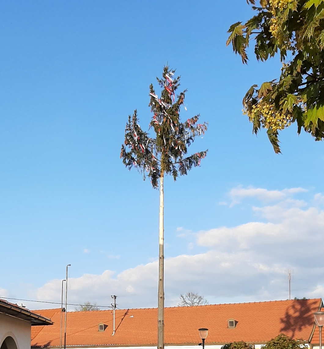 FF-Auggenthal Maibaum_30.04.2023