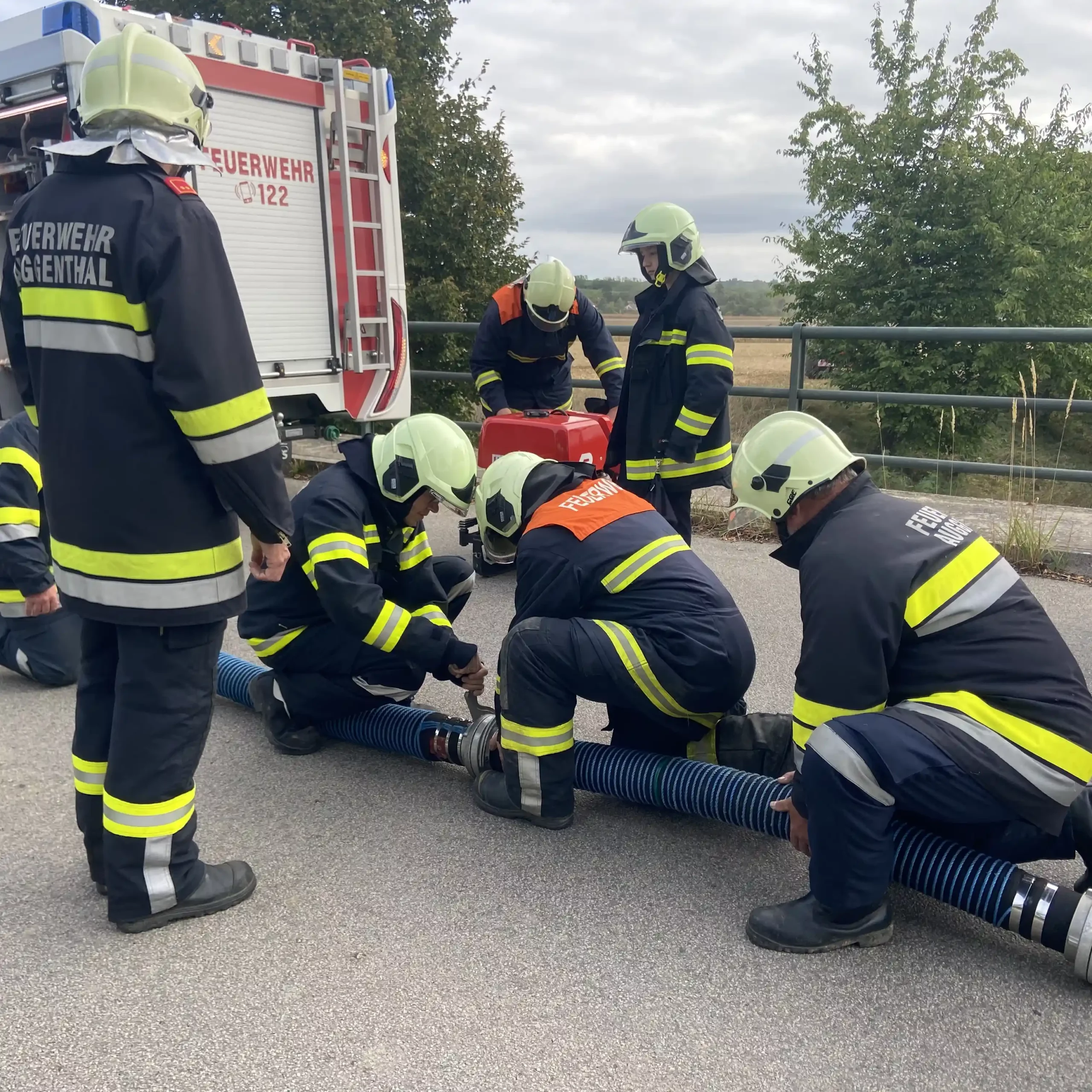 FF Auggenthal, Kuppeln